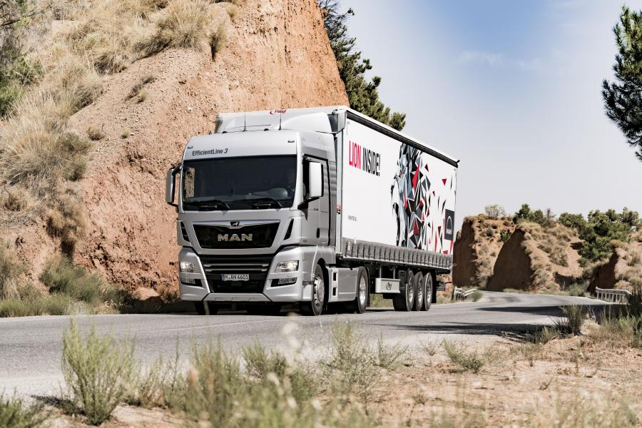  MAN TGX 18.500 4x2 XLX 2017 года  (фото 13 из 13)